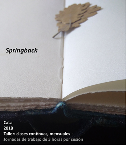 talleres springbackbaja